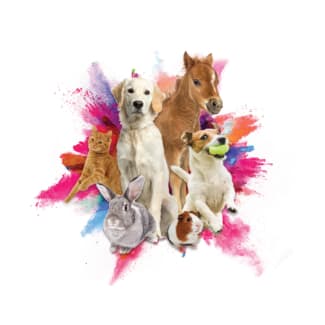 23212 Kingston Pet Expo-1