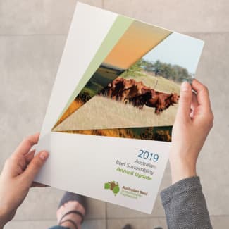 23212 ABSF 2019 Annual Update-1