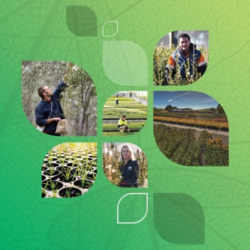 23212 NGIV Careers collateral-1