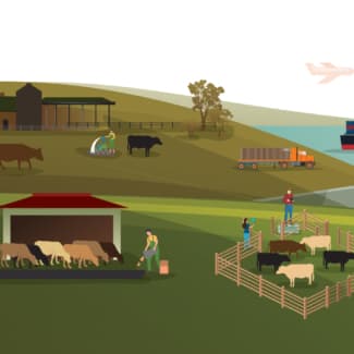 23212 ABSF supply chain infographics-1