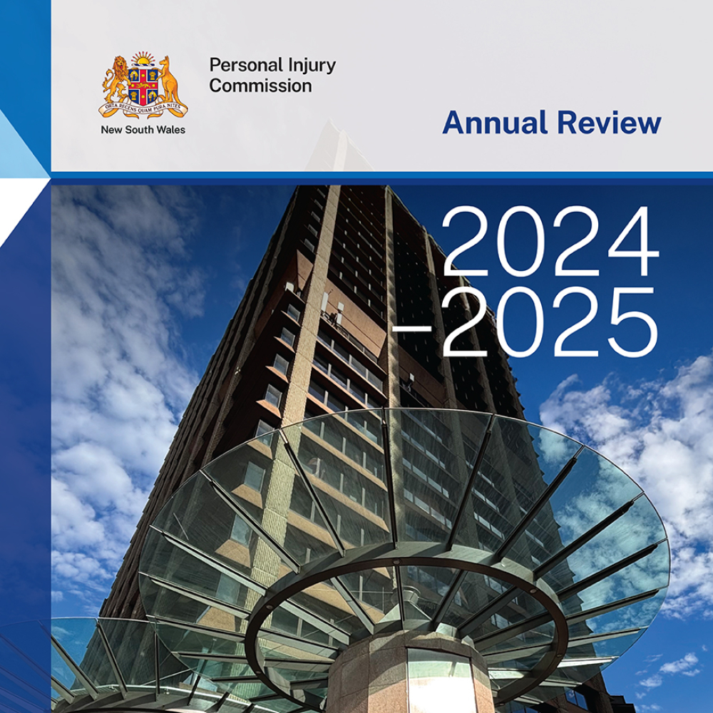23212 PIC Annual Review 2024-25-1